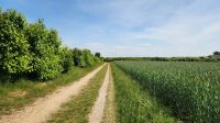 Wanderweg auf Föhr