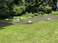 Blumen in Bodenseeform &ndash; &copy; Ina Lakermann (Eberhardt TRAVEL)