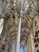 Münster Ulm