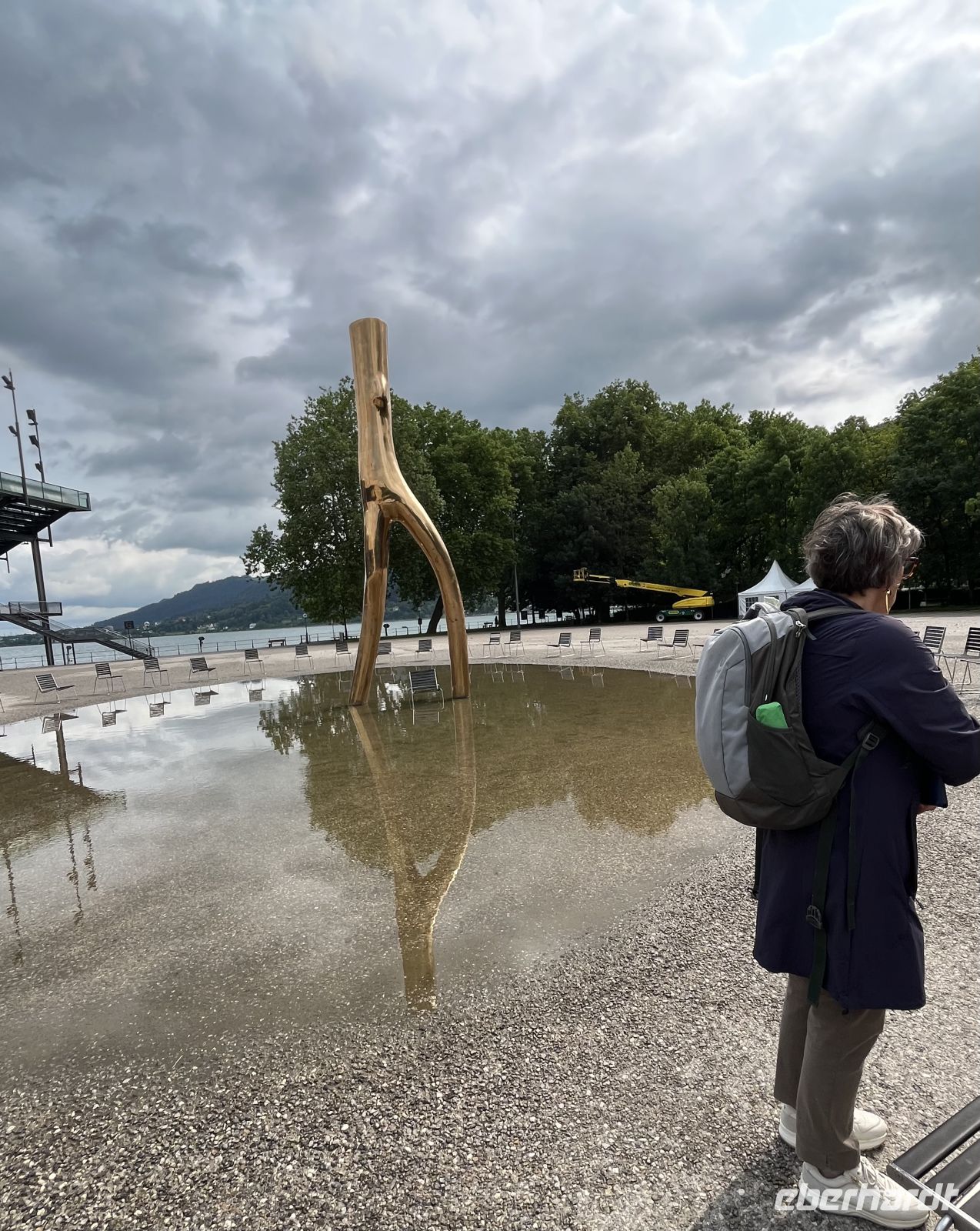 Bodenseerundreise 8.06.25 Bregenz - Stadtführung- der berühmte umgekehrte Baum &ndash; &copy; Renate Schuster (Eberhardt TRAVEL)