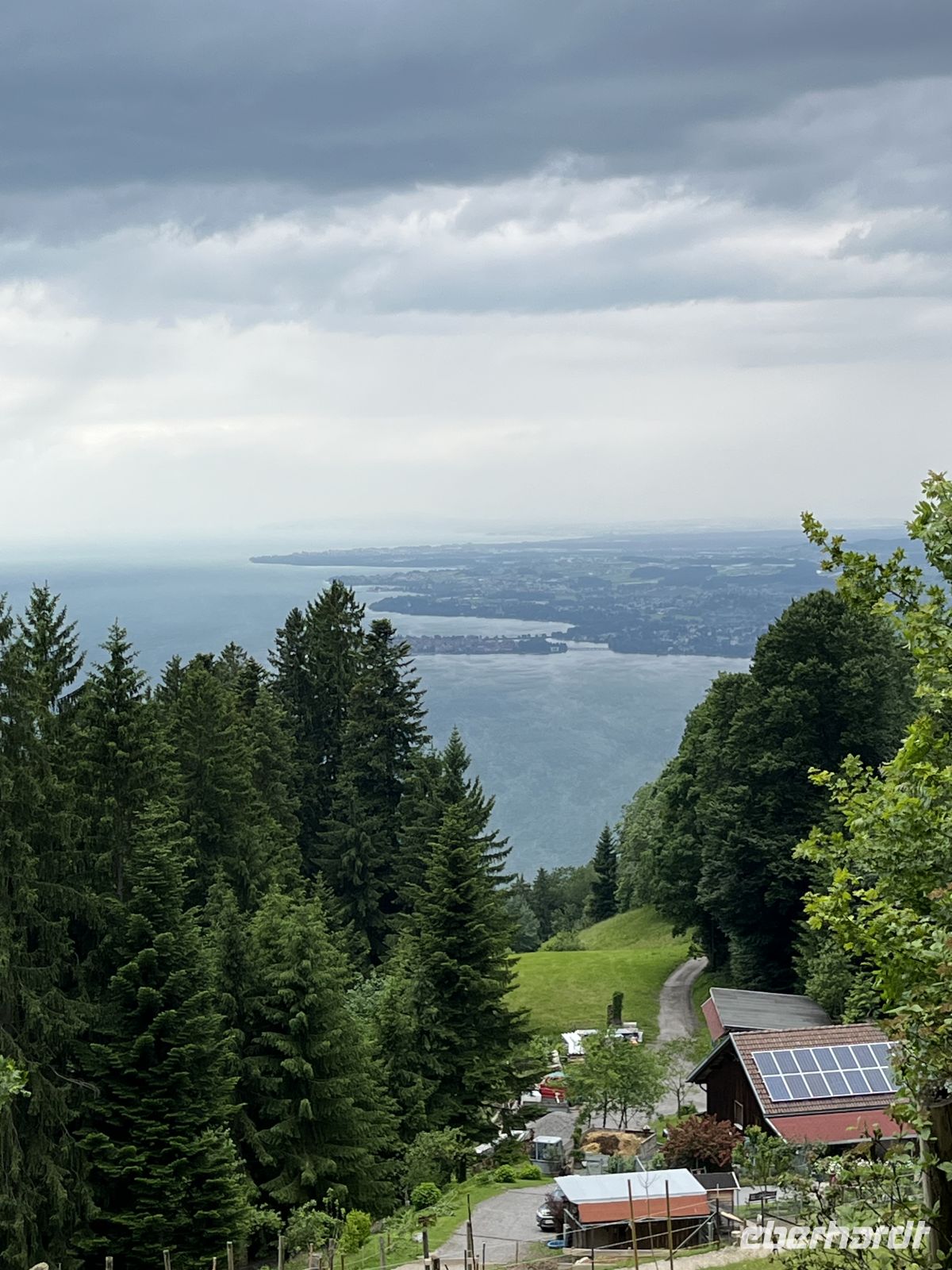 Bodenseerundreise 8.06.25  Bregenz - Auf dem Pfänder - Blick auf dem Bodensee &ndash; &copy; Renate Schuster (Eberhardt TRAVEL)