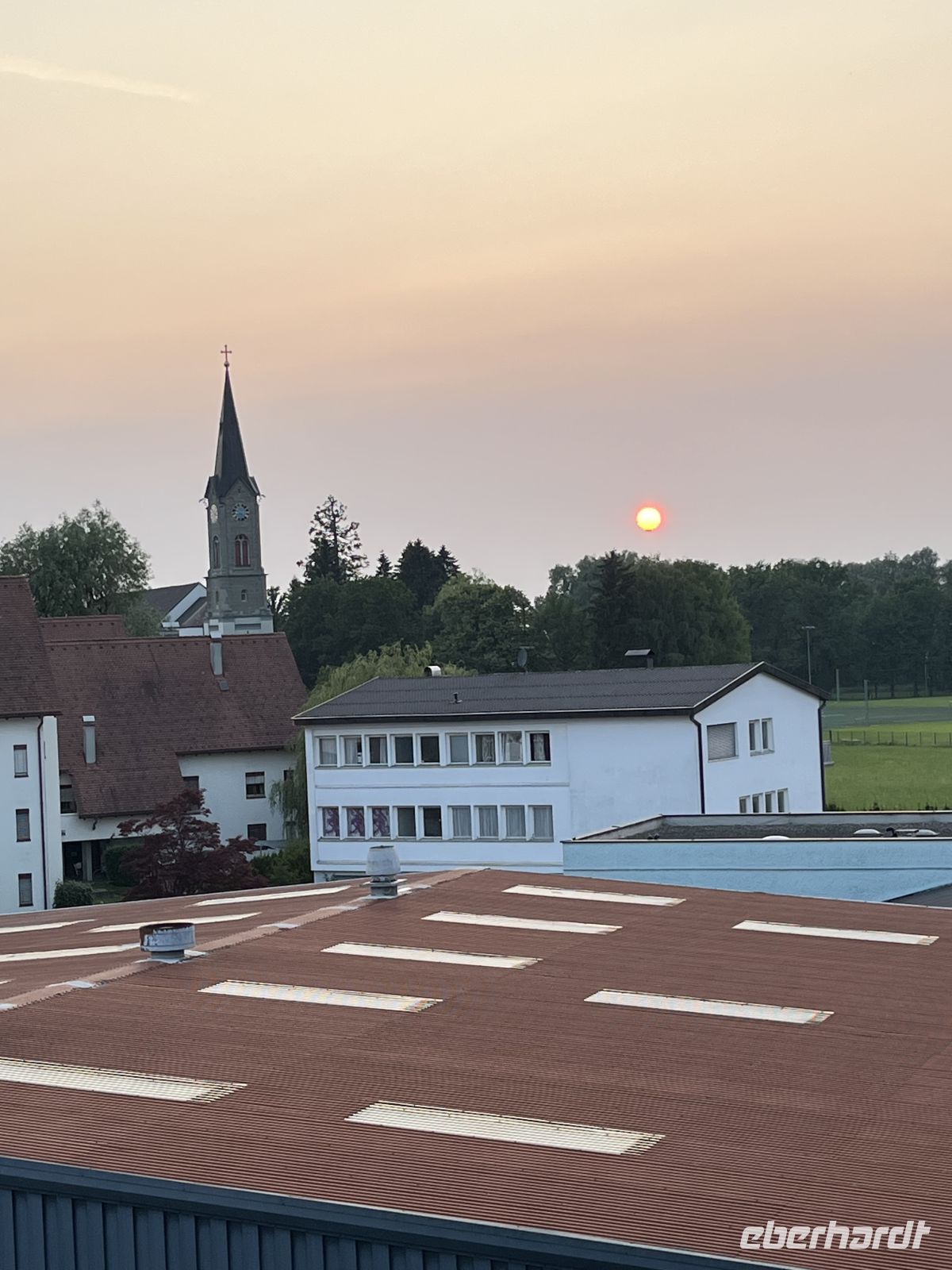 Bodenseerundreise 9.06.25 Insel Mainau - eine herrliche Blumeninsel gehörte heute uns- Sonnenuntergang in Bregenz &ndash; &copy; Renate Schuster (Eberhardt TRAVEL)