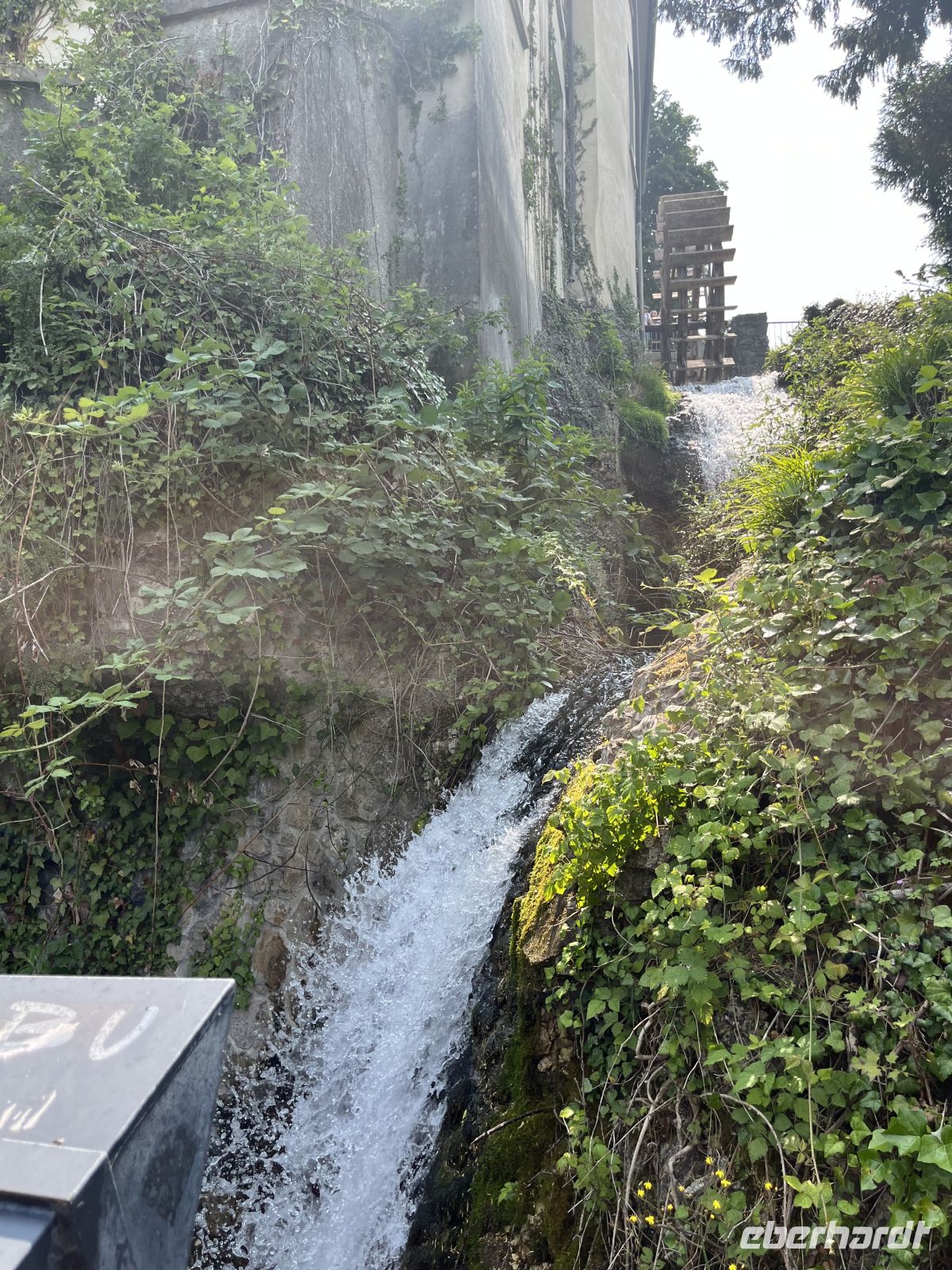 Bodenseerundreise 10.06.25   Rheinfall Schaffhausen &ndash; &copy; Renate Schuster (Eberhardt TRAVEL)