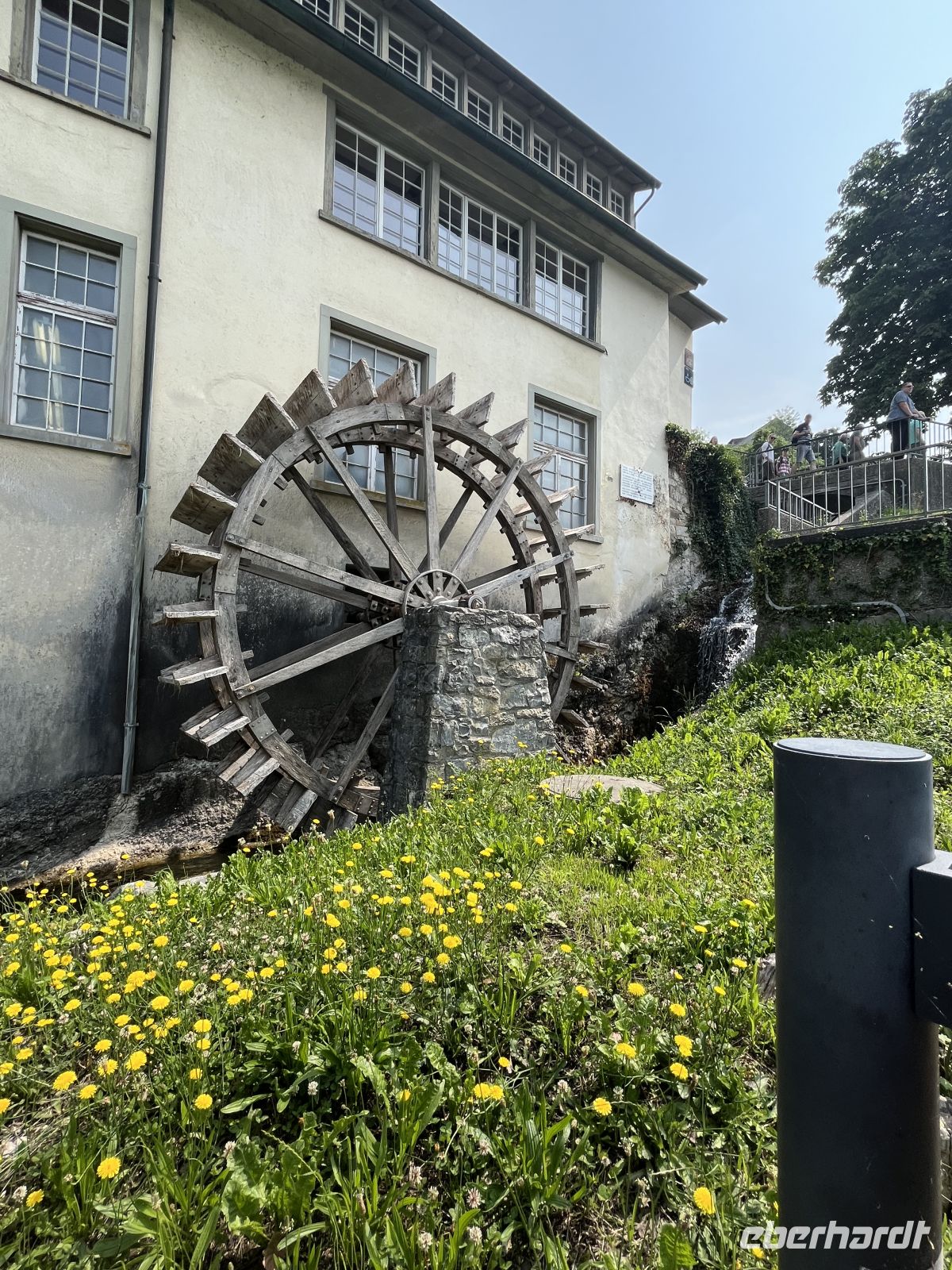 Bodenseerundreise 10.06.25   Rheinfall Schaffhausen! &ndash; &copy; Renate Schuster (Eberhardt TRAVEL)
