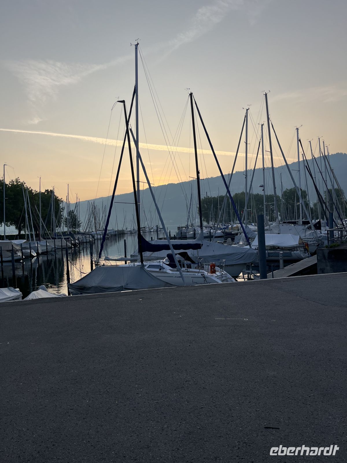 Bodenseerundreise 11.06.25 Hafen in Bregenz &ndash; &copy; Renate Schuster (Eberhardt TRAVEL)
