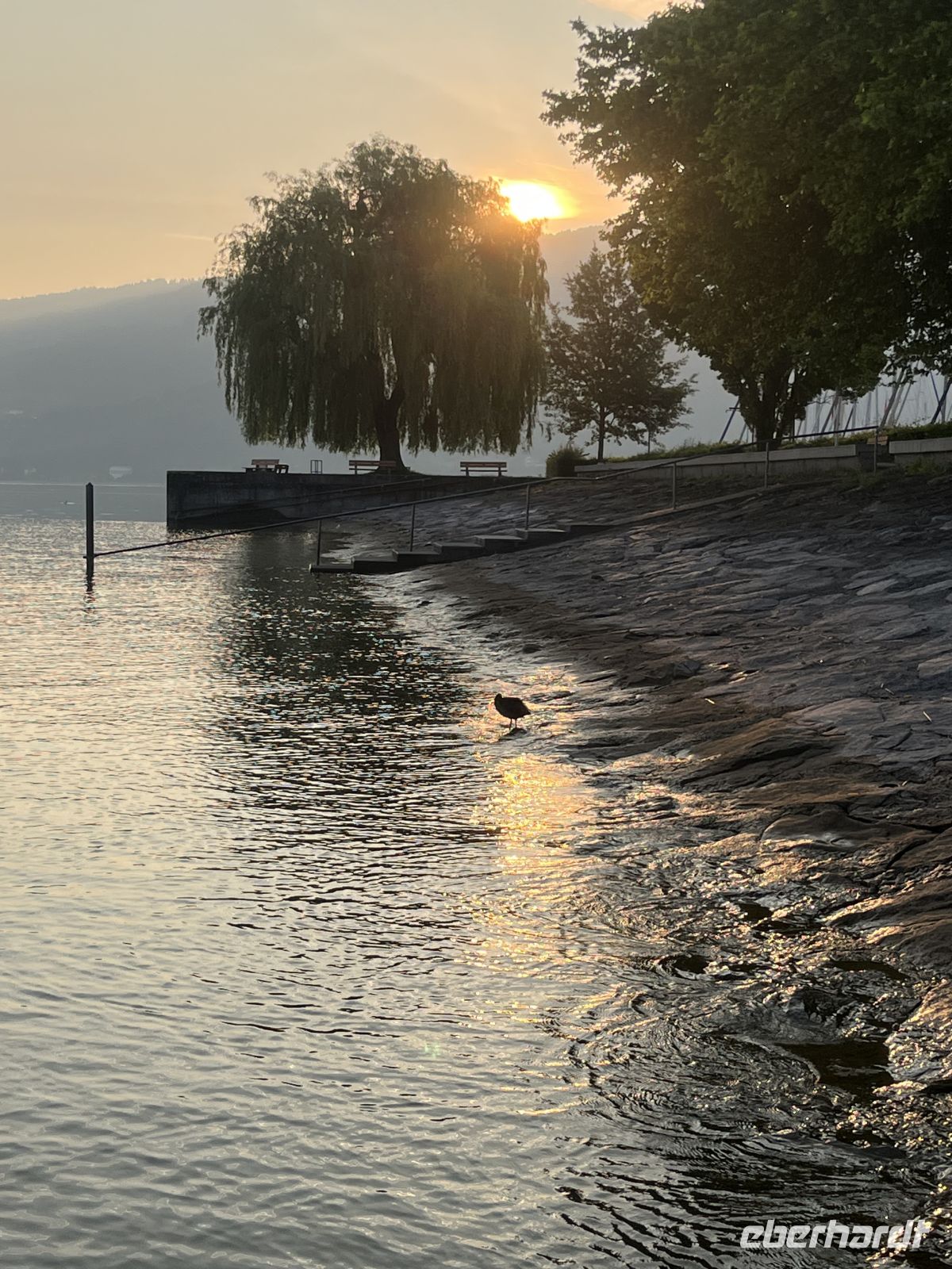 Bodenseerundreise 11.06.25 Sonnenaufgang erhascht &ndash; &copy; Renate Schuster (Eberhardt TRAVEL)