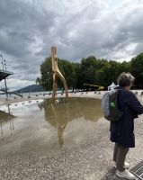 Bodenseerundreise 8.06.25 Bregenz - Stadtführung- der berühmte umgekehrte Baum &ndash; &copy; Renate Schuster (Eberhardt TRAVEL)