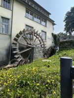 Bodenseerundreise 10.06.25   Rheinfall Schaffhausen! &ndash; &copy; Renate Schuster (Eberhardt TRAVEL)