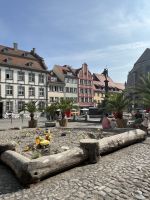 Bodenseerundreise 11.06.25  Lindau - Altstadt &ndash; &copy; Renate Schuster (Eberhardt TRAVEL)