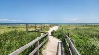 Bohlenweg zum Prerower Strand