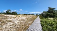 Bohlenweg Darßer Ort &ndash; &copy; Petra Hady (Eberhardt TRAVEL)