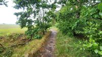 Wanderung nach Wustrow &ndash; &copy; Petra Hady (Eberhardt TRAVEL)