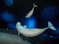 DSCN0242.JPG &ndash; &copy; Kerstin Veit (Eberhardt TRAVEL)