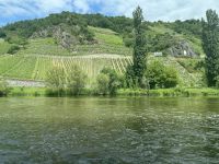 Mosel &ndash; &copy; Sabine Letzybyll (Eberhardt TRAVEL)