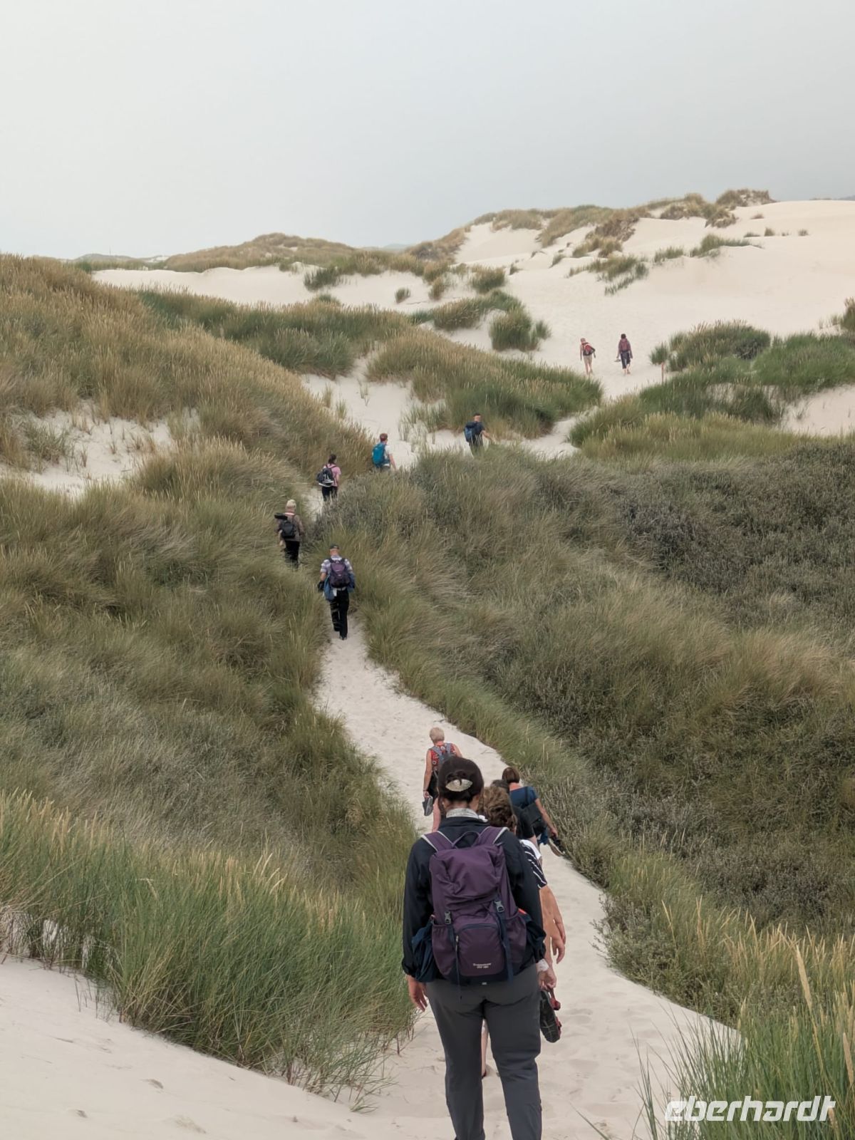 durch die Dünen von Amrum &ndash; &copy; Thomas Hahn (Eberhardt TRAVEL)