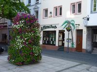 Affenclub  &ndash; &copy; Steffi Zimmermann (Eberhardt TRAVEL)