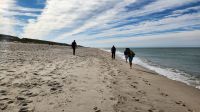 Strandwanderung in Hörnum &ndash; &copy; Petra Hady (Eberhardt TRAVEL)