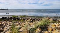 Ufer am Wattenmeer, Dagebüll &ndash; &copy; Petra Hady (Eberhardt TRAVEL)
