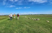 Deichwanderweg Dagebüll &ndash; &copy; Petra Hady (Eberhardt TRAVEL)