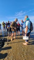 Wattwanderung in Dagebüll &ndash; &copy; Petra Hady (Eberhardt TRAVEL)