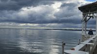 Bregenz- am Bodenseeufer (1).jpg &ndash; &copy; Steffi Lambrecht (Eberhardt TRAVEL)
