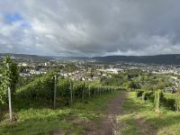 Trier Olewig &ndash; &copy; Sabine Letzybyll (Eberhardt TRAVEL)