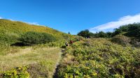 Wangerooge - Wanderung &ndash; &copy; Petra Hady (Eberhardt TRAVEL)