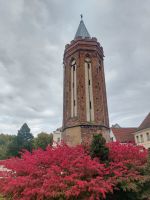 2025_Schiff_MS-P_Brandenburg - Mühlturm &ndash; &copy; Dieter Braune (Eberhardt TRAVEL)