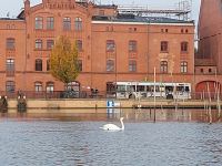 2025_Schiff_MS-P_Brandenburg - Mühle - Abschied am Morgen &ndash; &copy; Dieter Braune (Eberhardt TRAVEL)