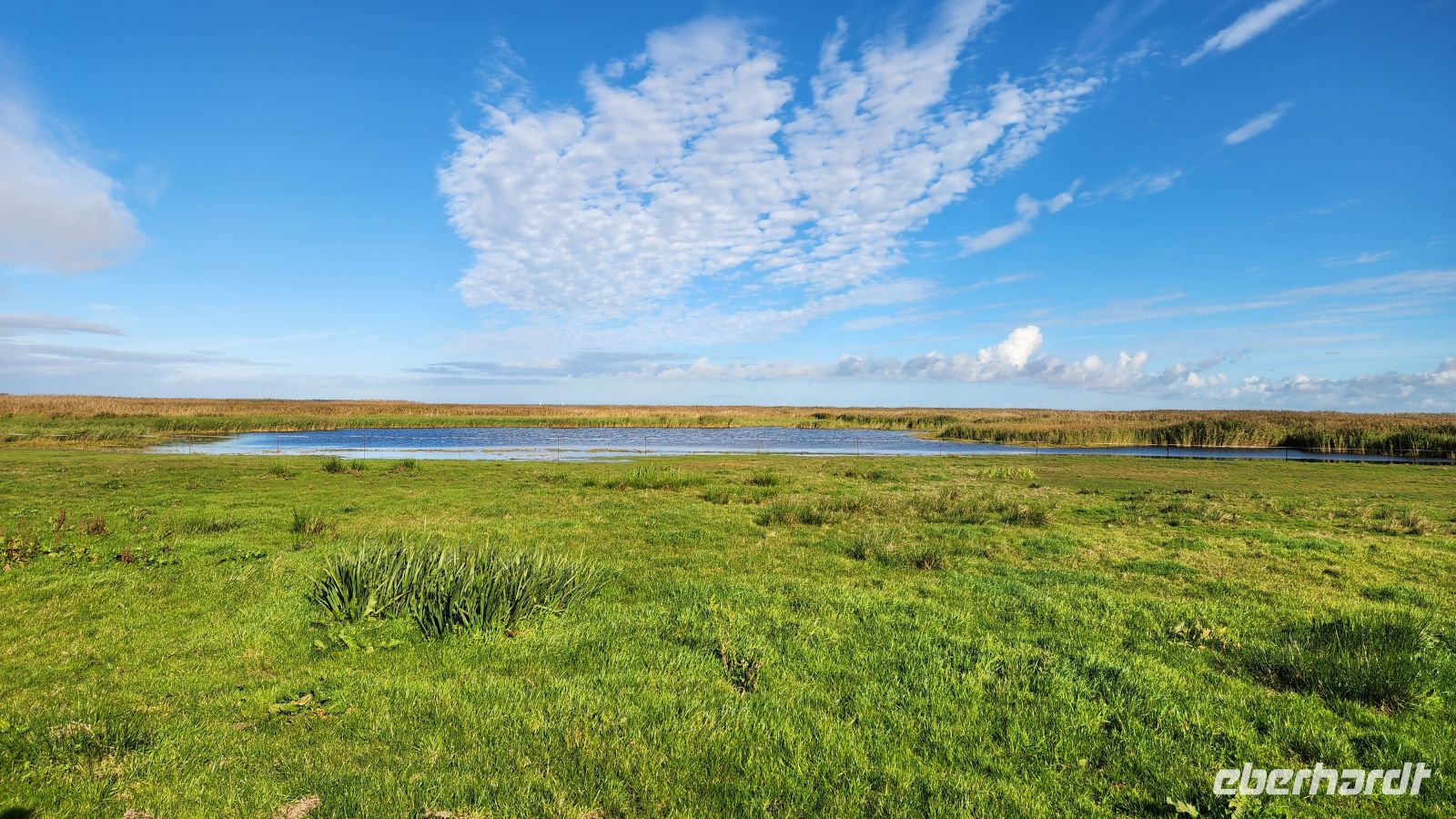 Boddenlandschaft &ndash; &copy; Petra Hady (Eberhardt TRAVEL)