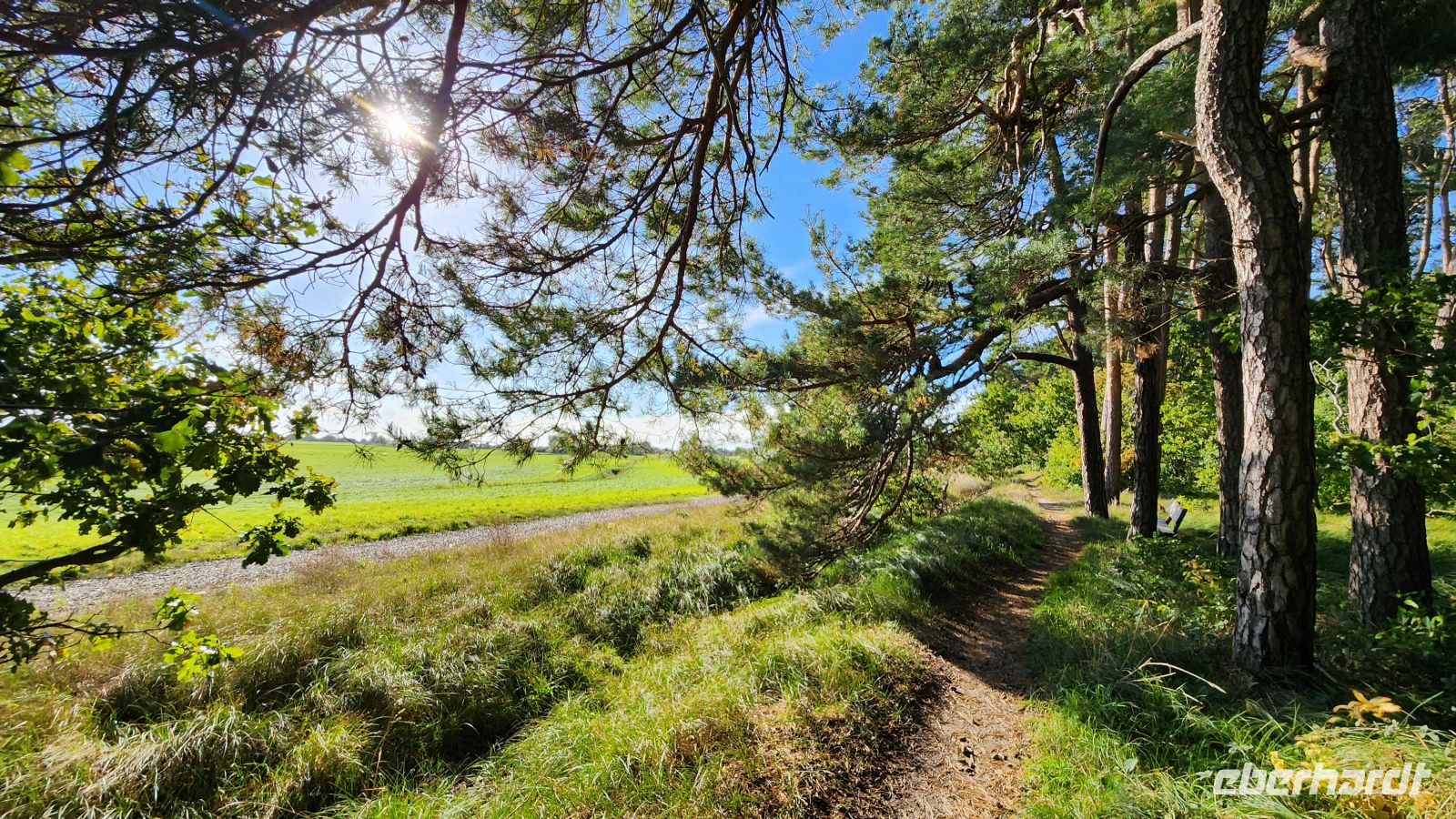 Wanderung von Ahrenshoop nach Wustrow &ndash; &copy; Petra Hady (Eberhardt TRAVEL)