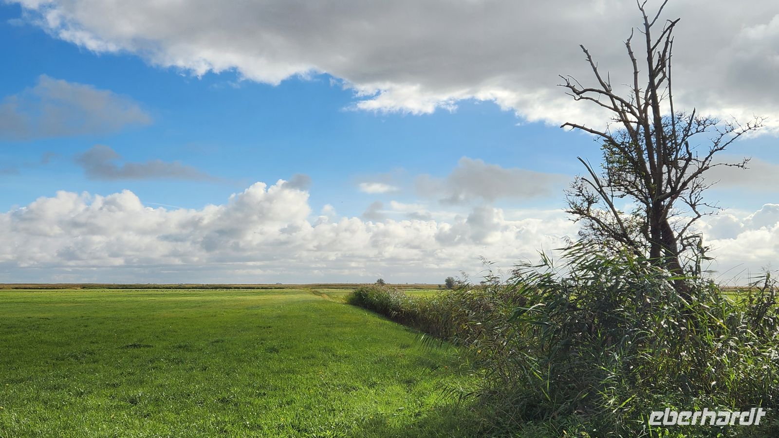 Boddenlandschaft &ndash; &copy; Petra Hady (Eberhardt TRAVEL)
