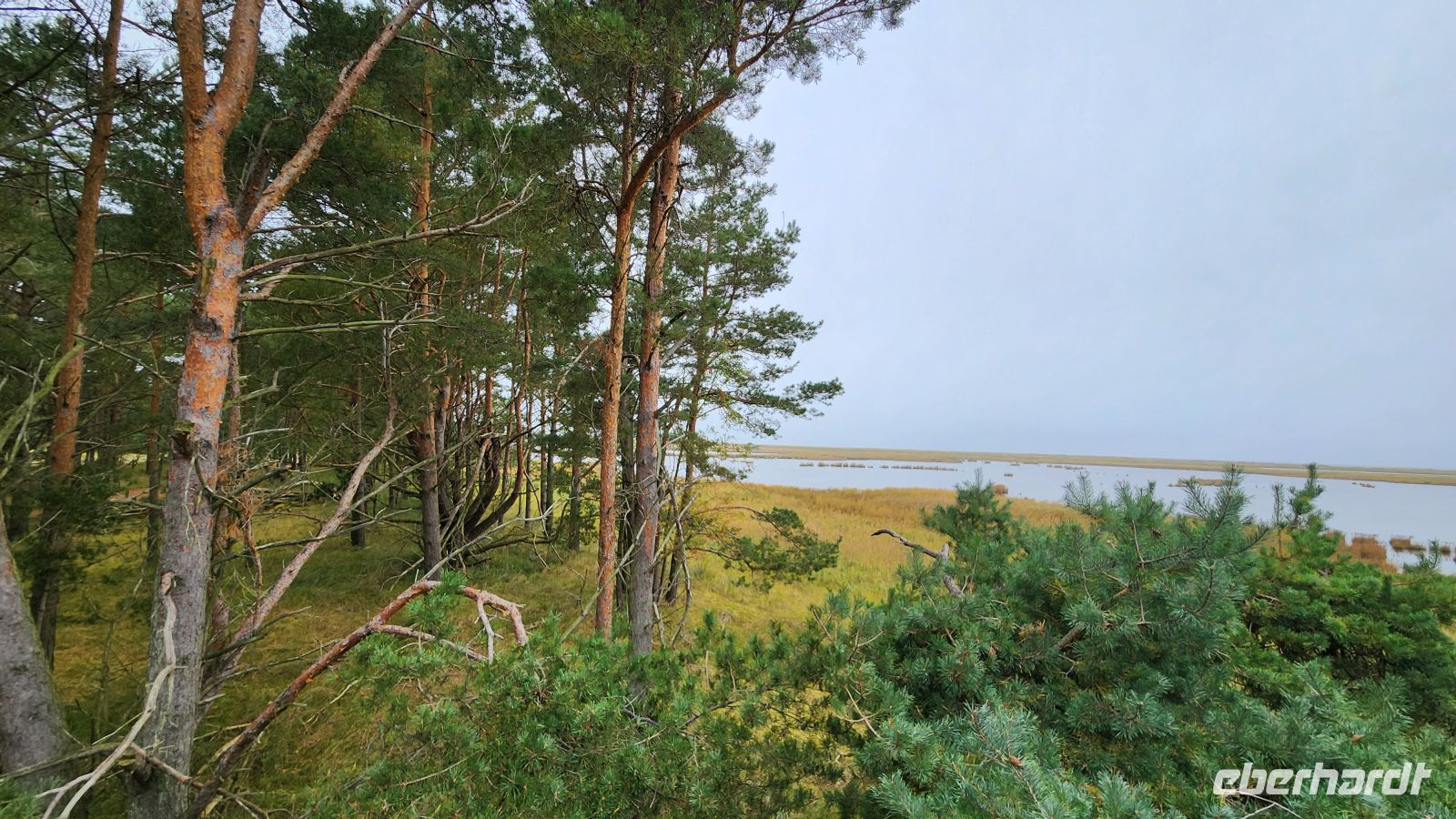 Naturschutzgebiet am Darßer Ort &ndash; &copy; Petra Hady (Eberhardt TRAVEL)
