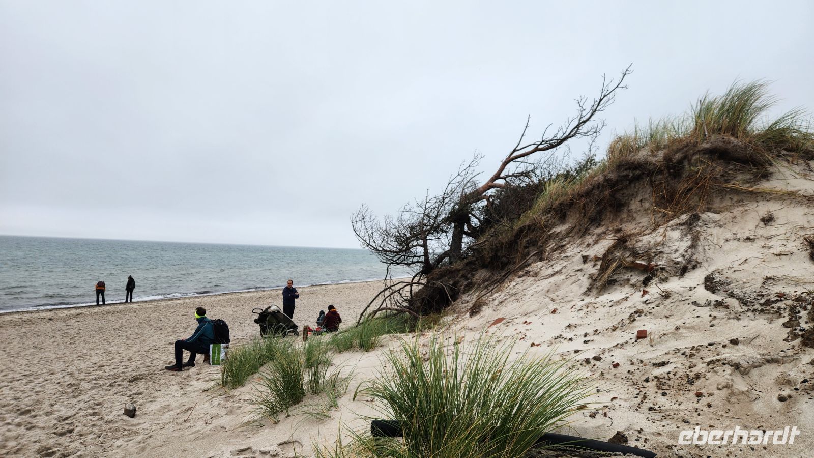 Weststrand - Darßer Ort &ndash; &copy; Petra Hady (Eberhardt TRAVEL)