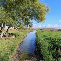 Boddenlandschaft