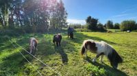 Idylle am Bodden &ndash; &copy; Petra Hady (Eberhardt TRAVEL)