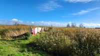Idylle am Bodden