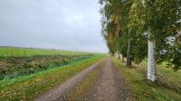 Spaziergang zum Hafen von Dierhagen &ndash; &copy; Petra Hady (Eberhardt TRAVEL)
