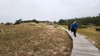 Wanderung am Darßer Ort &ndash; &copy; Petra Hady (Eberhardt TRAVEL)