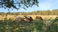 Wanderung von Wieck nach Born &ndash; &copy; Petra Hady (Eberhardt TRAVEL)