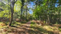 Wanderung von Wieck nach Born &ndash; &copy; Petra Hady (Eberhardt TRAVEL)