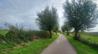 Wanderung von Wieck nach Born &ndash; &copy; Petra Hady (Eberhardt TRAVEL)