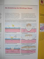 Entstehung des Rieskraters