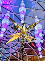 0208 Westfield