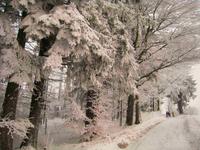 Bayerwaldlandschaft