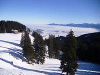 Alpspitze-Blick auf Sportheim Böck