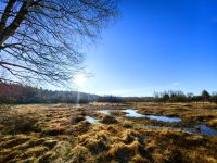 Hohes Venn &ndash; &copy; Simone Willner (Eberhardt TRAVEL)