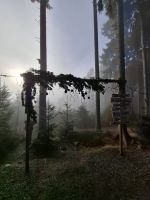 Wald Wipfel Weg St. Englmar 