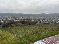 Blick über Trier &ndash; &copy; Heike Wunder (Eberhardt TRAVEL)