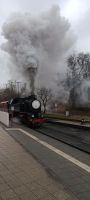 Molli Dampflok Kleinbahn 